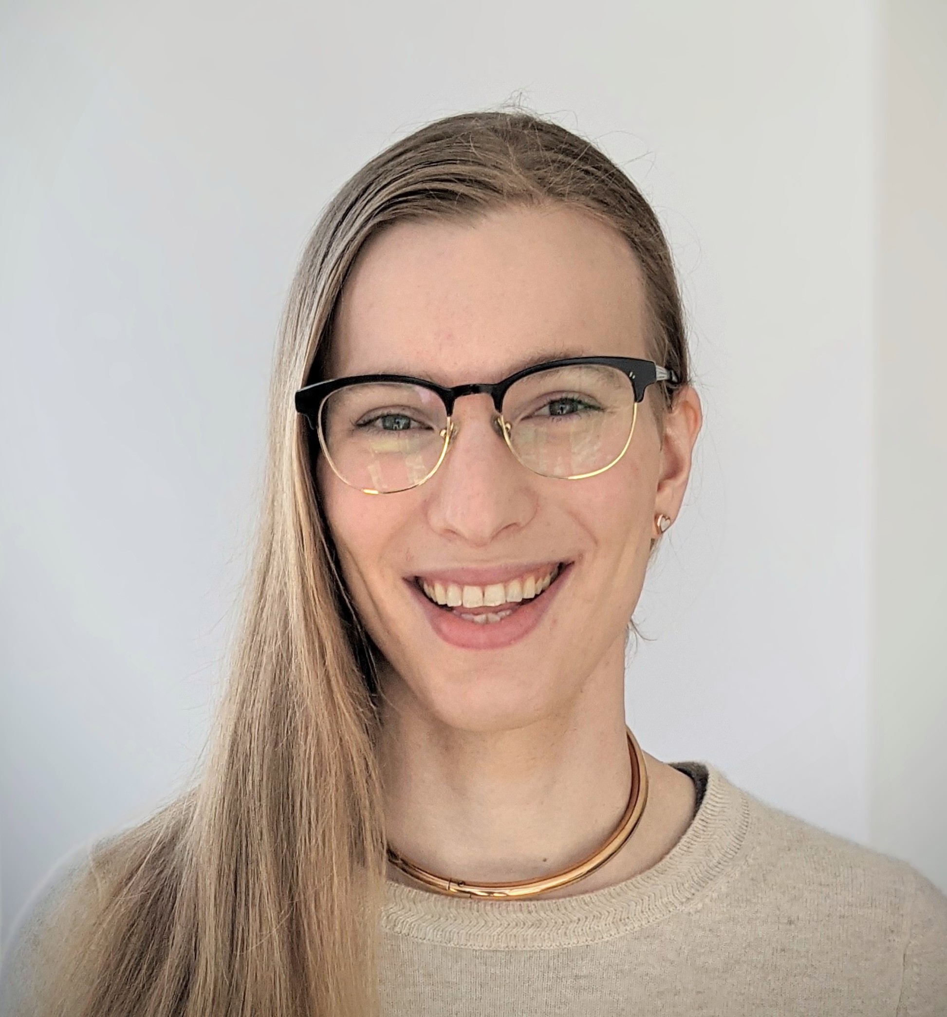 image of developer